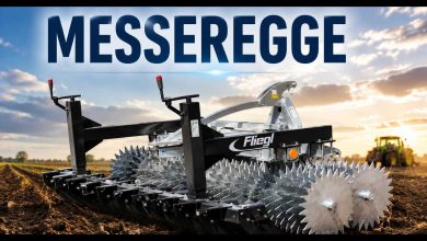 Messeregge
