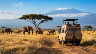 Tanzania safari