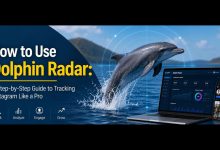 Dolphin Radar