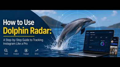 Dolphin Radar